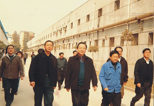 時任武漢市政協主席劉善壁到公司調研